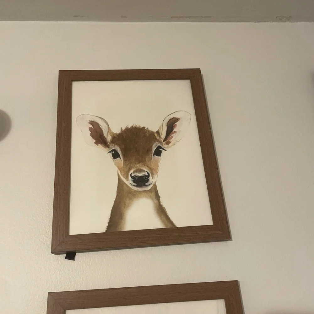 Set of 8 Framed Baby Animal Art Prints